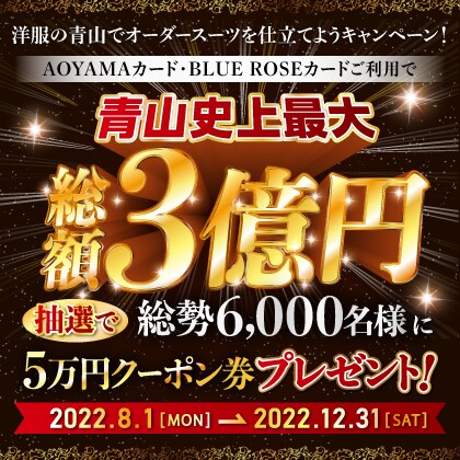 青山キャピタル 総額3億円キャンペーン