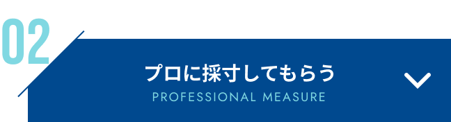 手堅くプロに相談