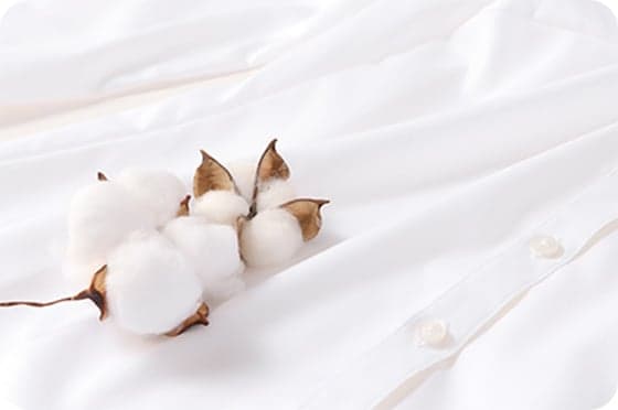 NON IRONMAXの特徴 02