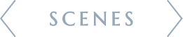 <SCENE>