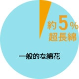 綿100％