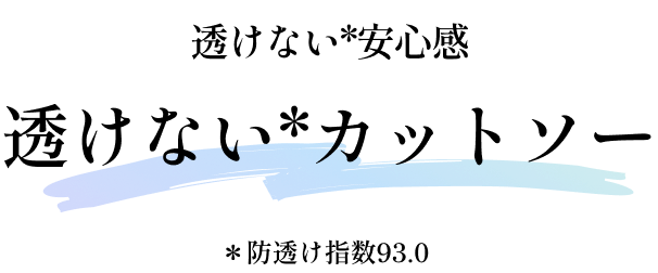 透けない安心感 透けないカットソー