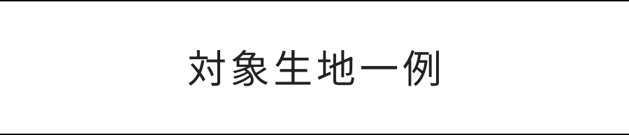 「軽」く、「涼」しい FABRIC