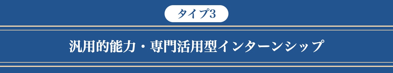 （タイプ3）汎用的能力・専門活用型インターンシップ