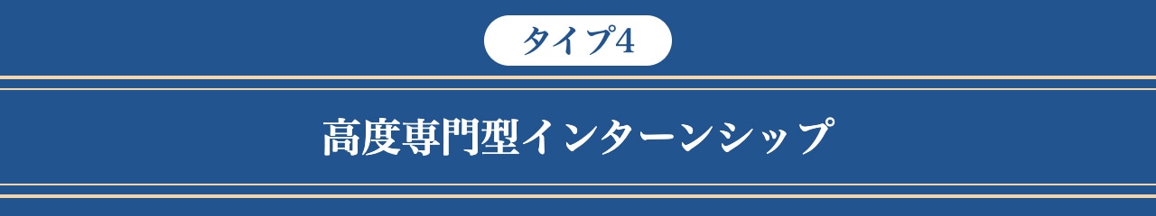 （タイプ4）高度専門型インターンシップ